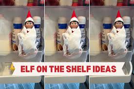 Elf on the Shelf Ideas to Delight Your Family