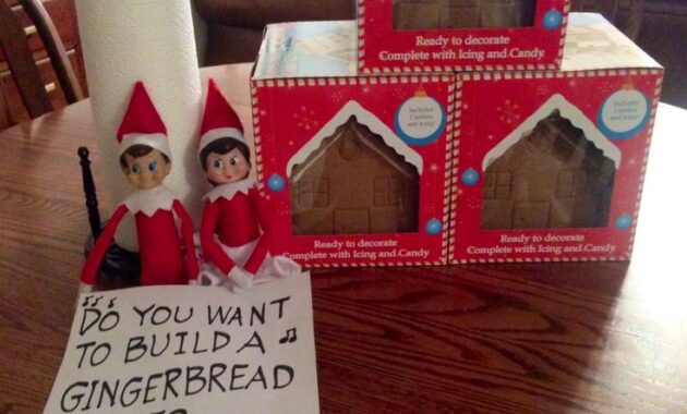 Elf on the Shelf Ideas to Delight Your Family