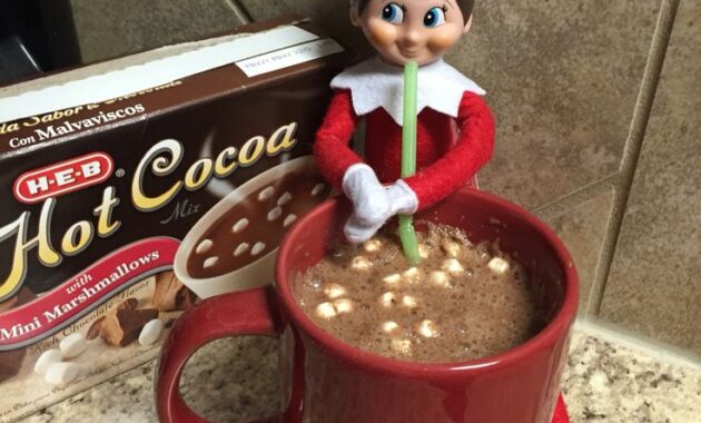 Elf on the Shelf Ideas to Delight Your Family