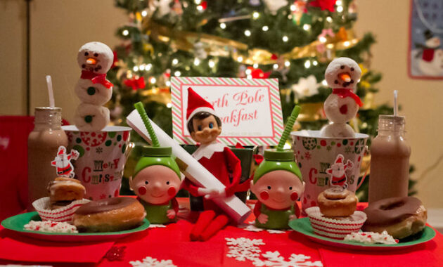 Elf on the Shelf Ideas to Delight Your Family